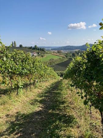 Blick Richtung S�d/Osten